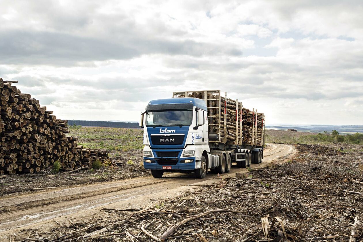 Lote de caminhões MAN para os setores madeireiro e canavieiro, com alterações específicas para as aplicações são conquistas creditadas à nova fase da empresa