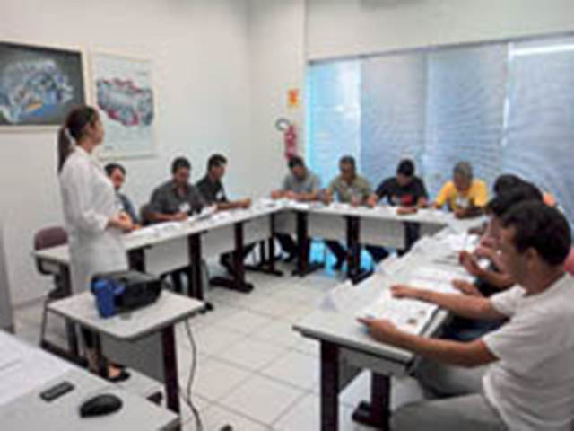 Momento de faturar mais Transportadores acreditam que carreteiros ficam mais competitivos na safra se investirem na manutenção do caminhão e em cursos