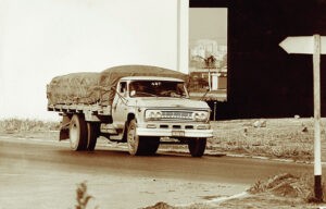 Do faz tudo à solução de transporte Chevrolet Antigo PB