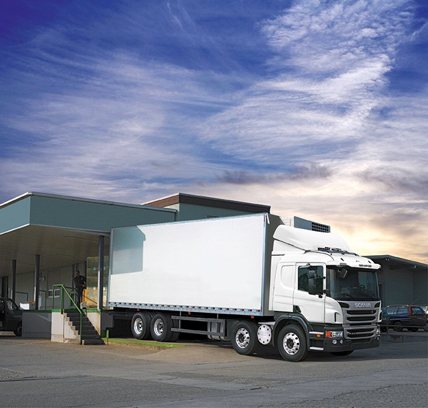 Valorização da marca Scania P310 8x2 1